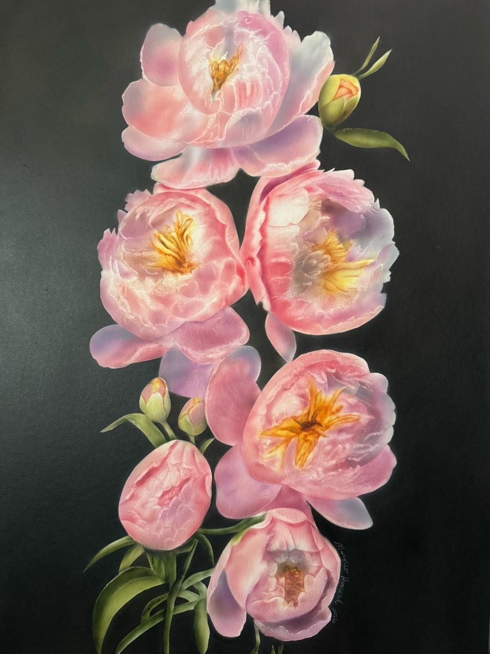 Pink Peony Floral Wall Art on Black Background